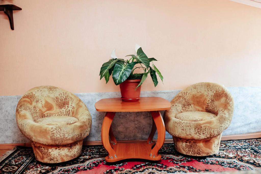 Отель Новинка - главное фото