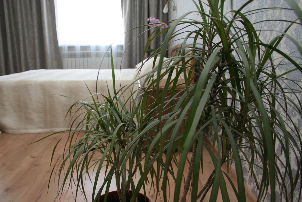 Гостевой дом Travel House - главное фото