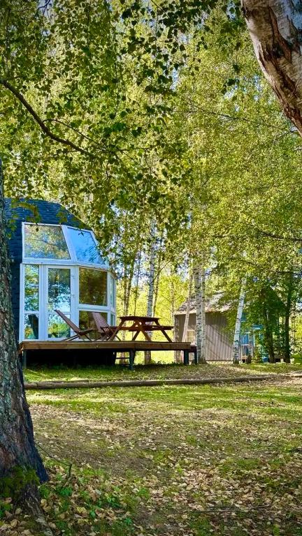 Глэмпинг Стрелка - главное фото