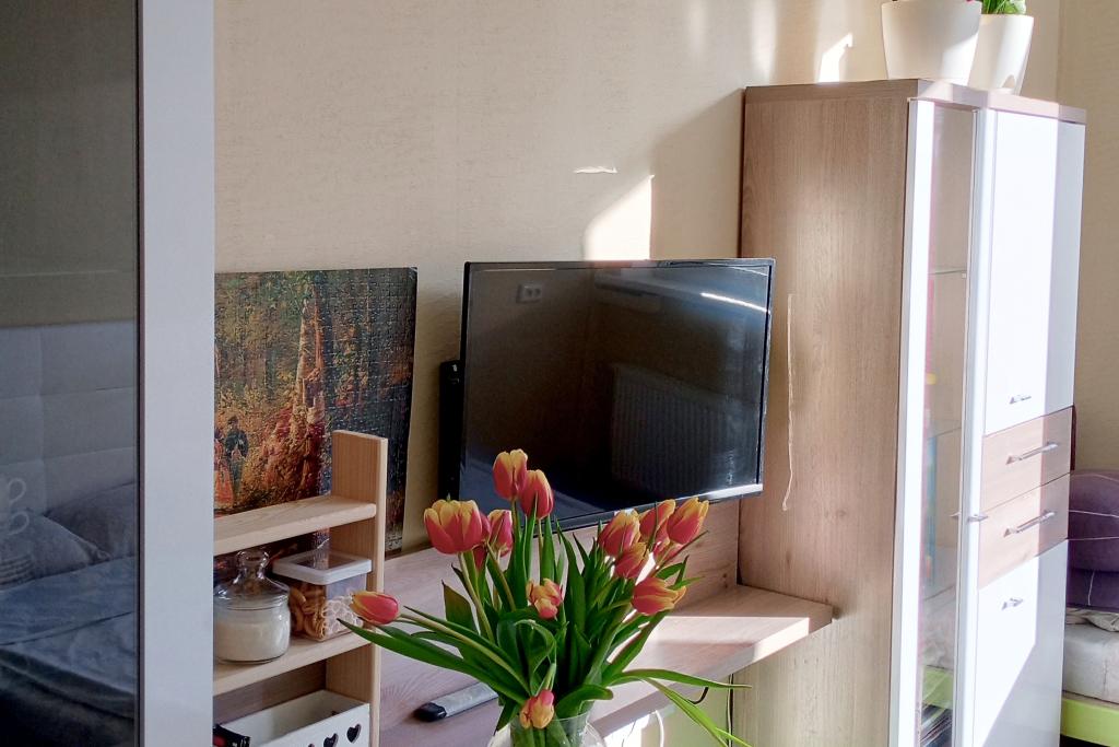 Апартаменты Студия в Лесной Отраде - главное фото