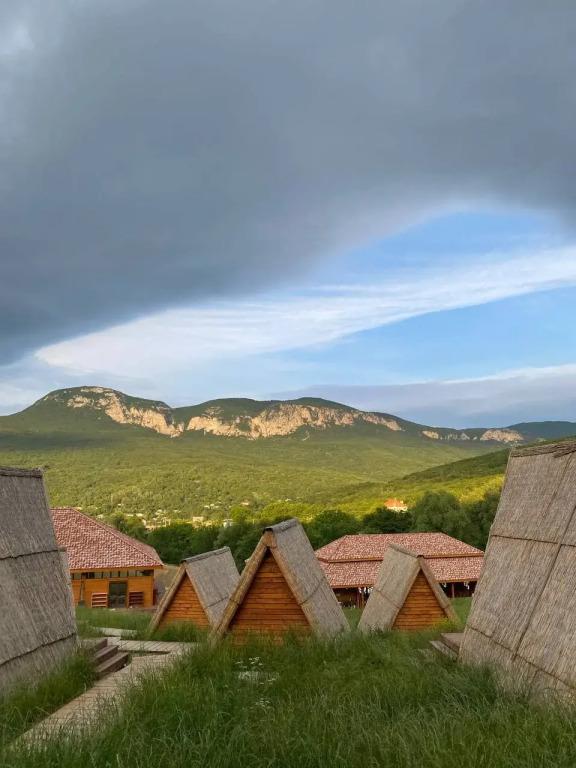 Дана - главное фото