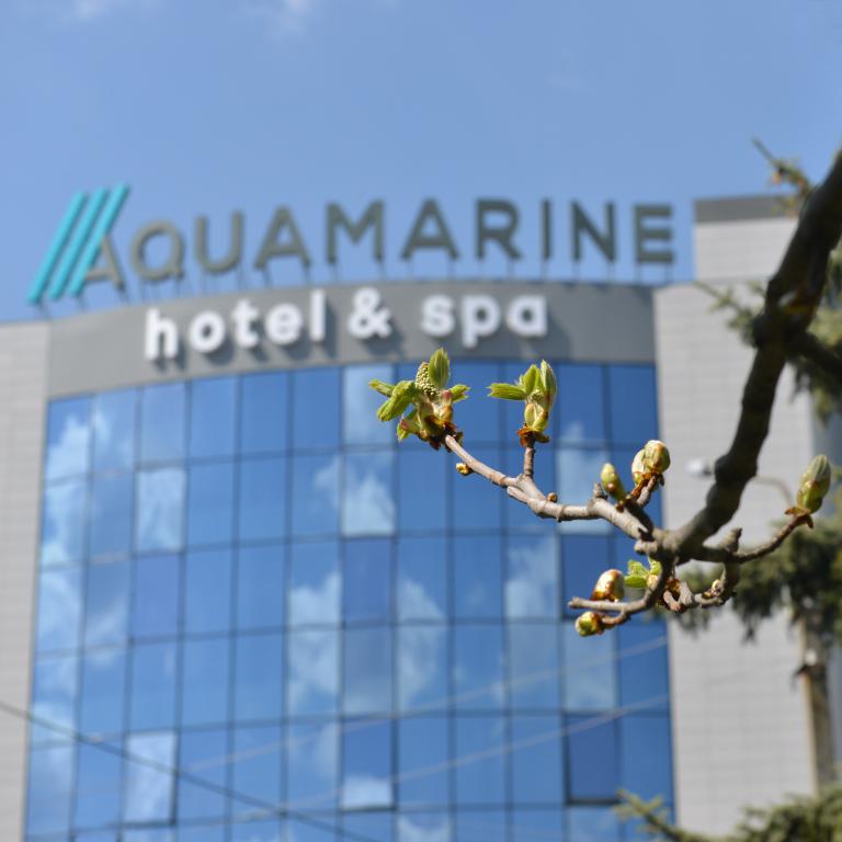 Отель Aquamarine hotel&spa - главное фото