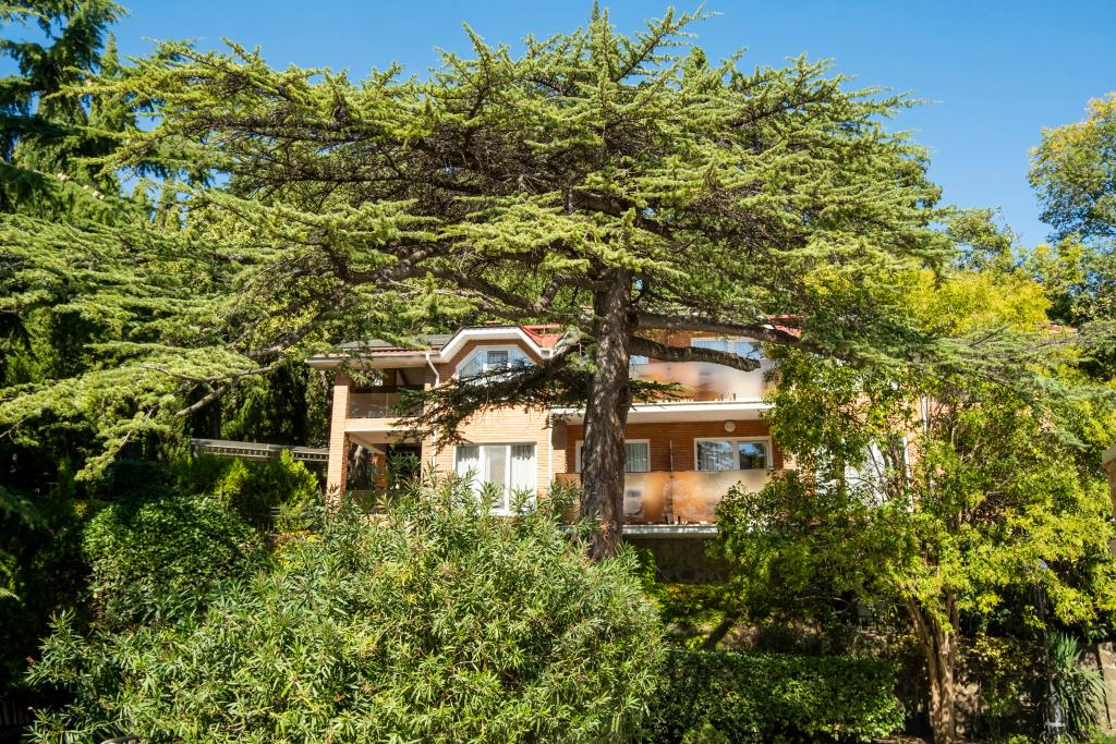 Парк-Отель Родос - главное фото