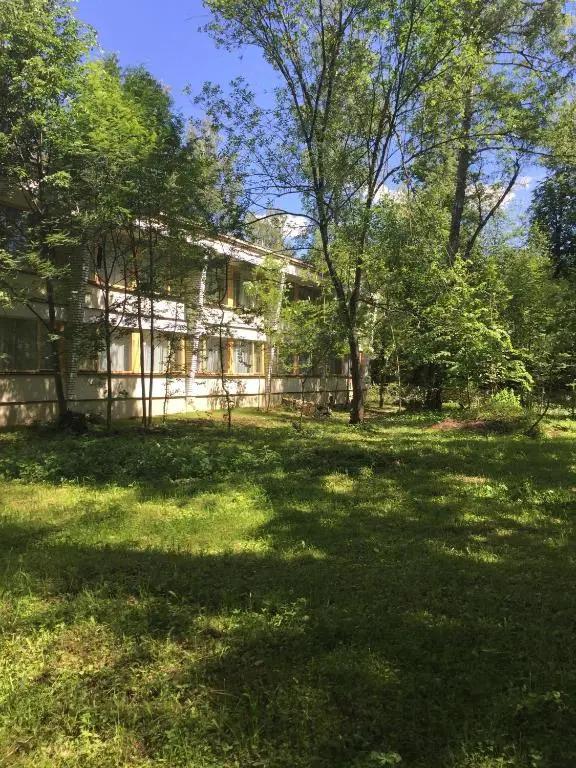 Ёжик - главное фото