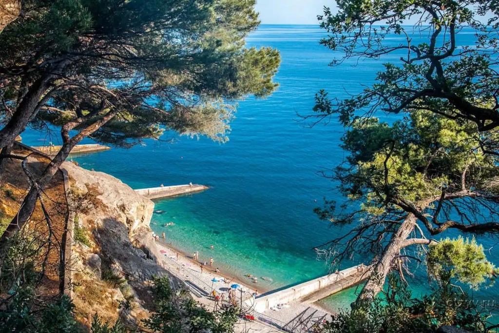 Отель Пансионат Дом творчества Актер - главное фото