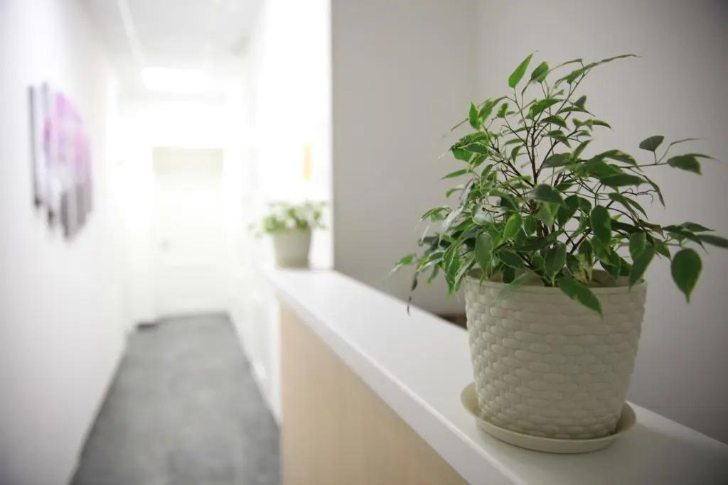 Меблированные комнаты Weekend Hotel - главное фото