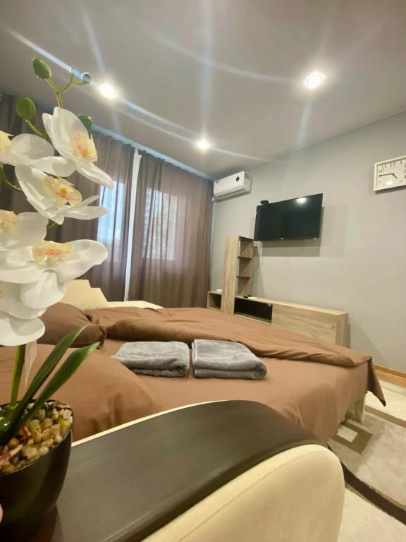 Апартаменты в центральном районе города - главное фото