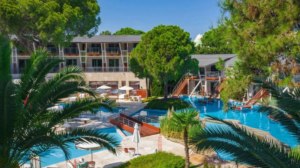 Paloma Sencia - главное фото