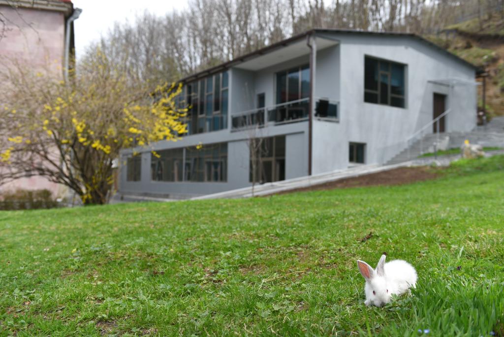 Отель Green Wood - главное фото