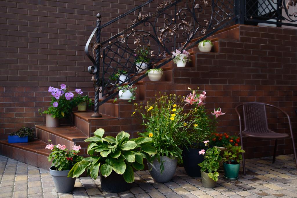 Отель Полина - главное фото