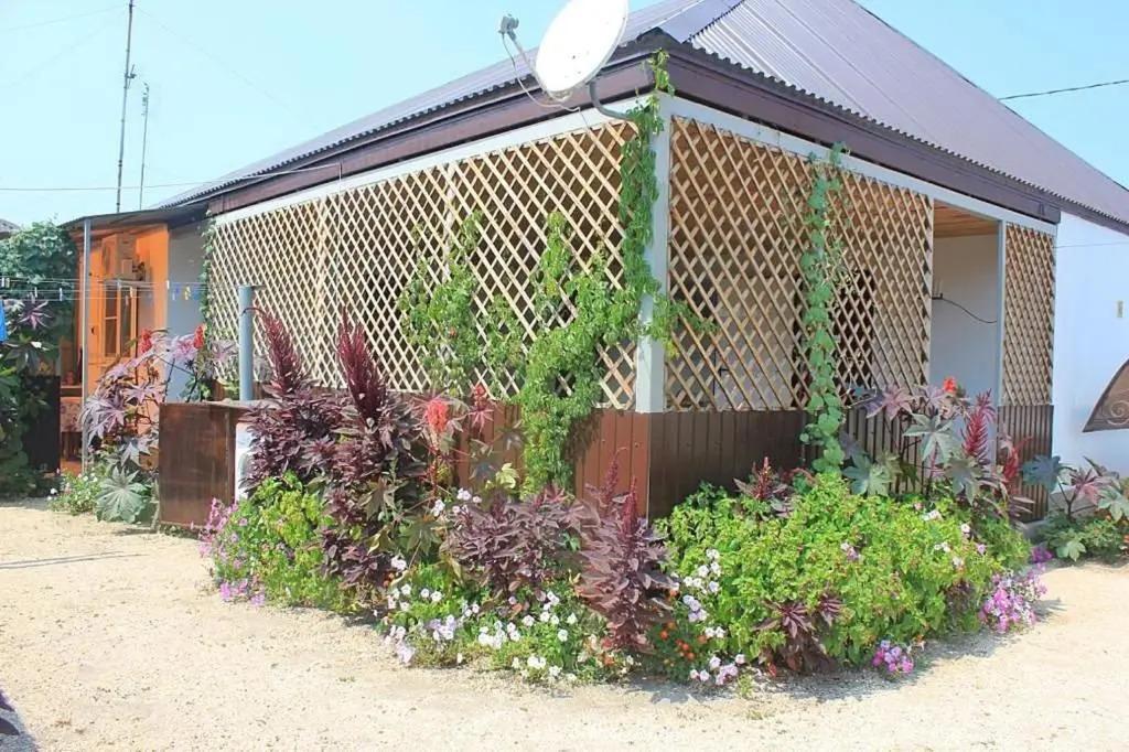 Гостевой дом 1388784 - главное фото