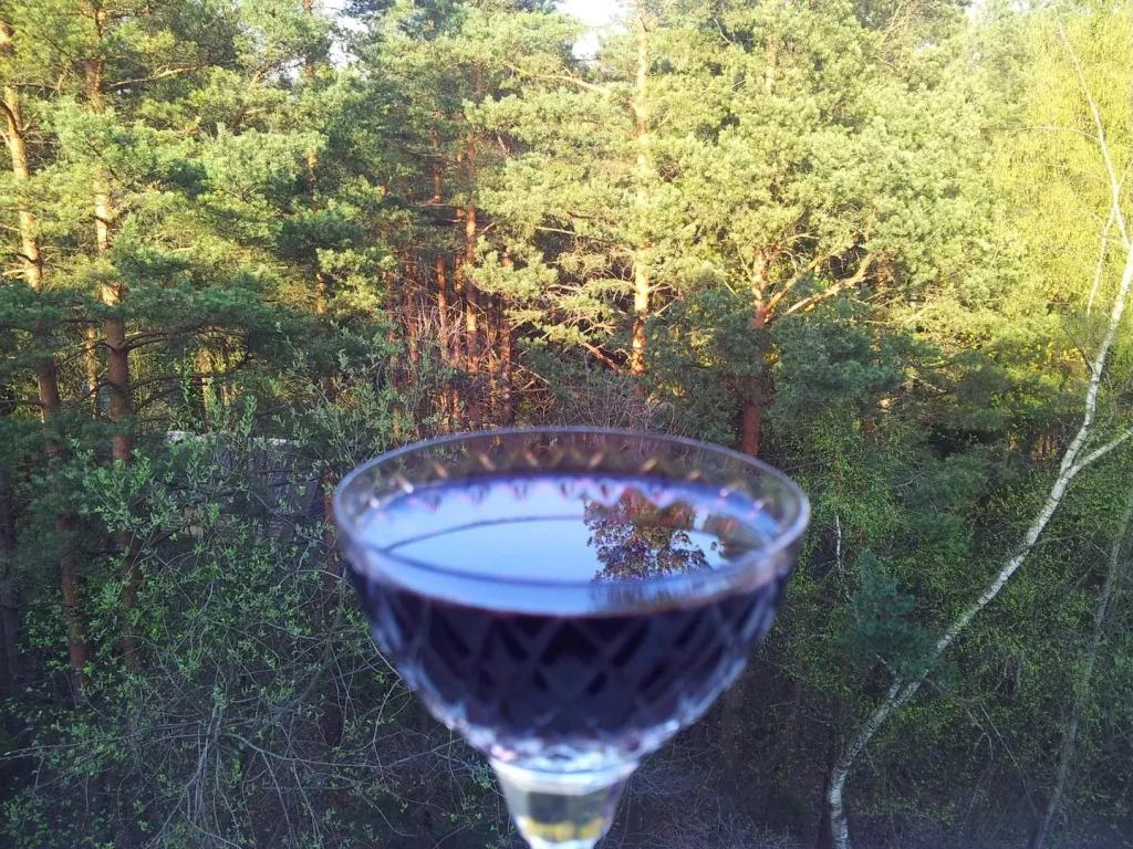 Апартаменты Philisa na Turbaze - главное фото