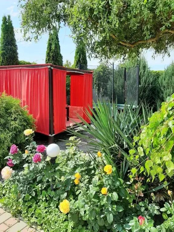 Guest House Manaka - главное фото