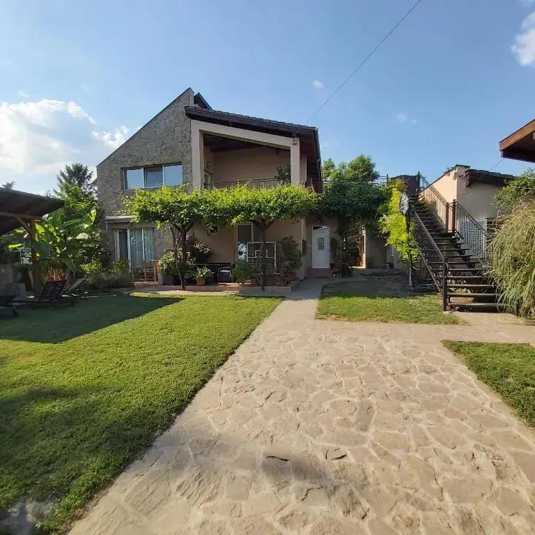 Adel Vendeghaz - главное фото