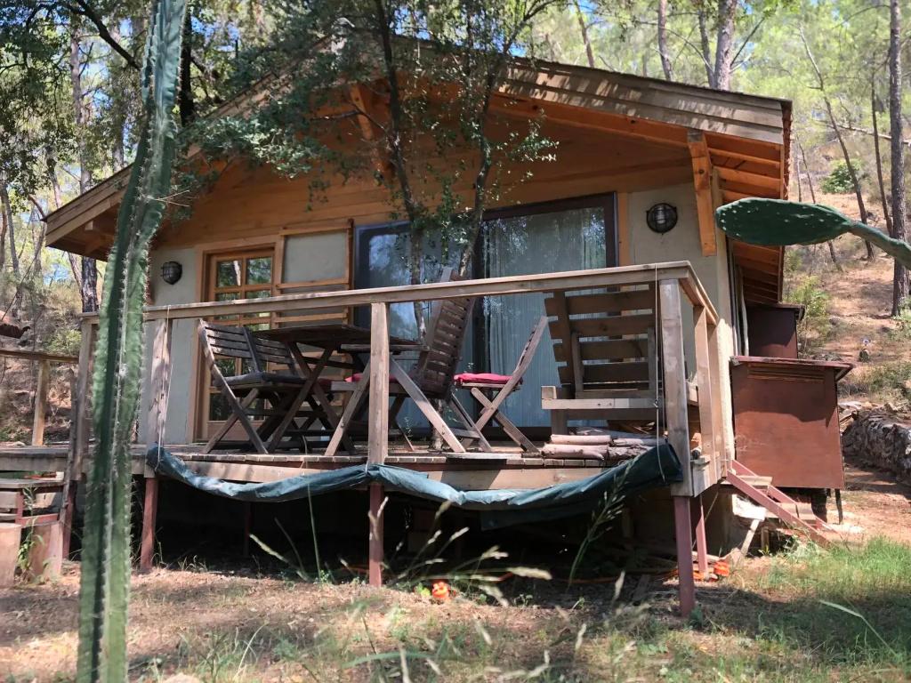 Sundance Camp - главное фото