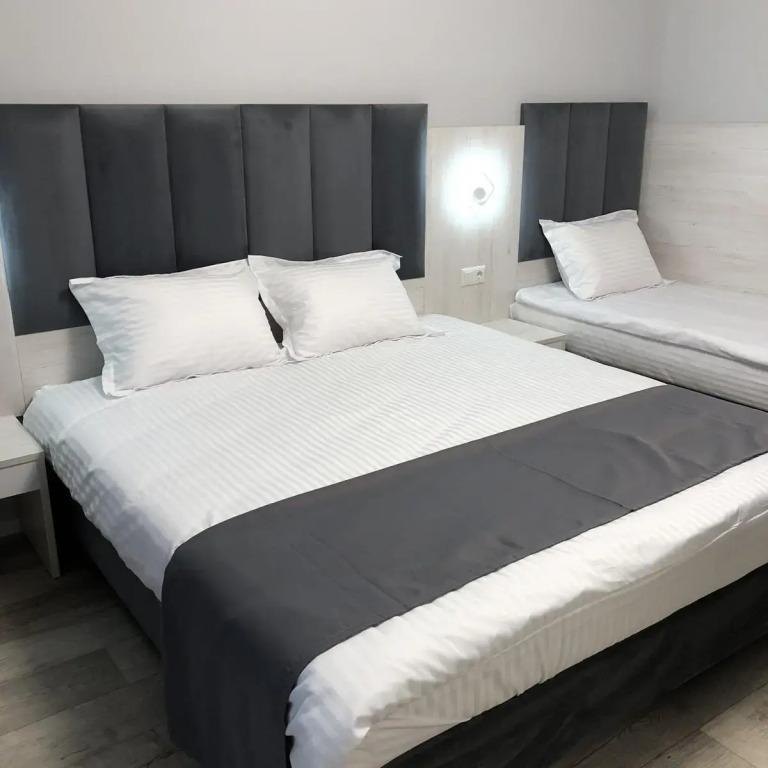 Amideya - главное фото