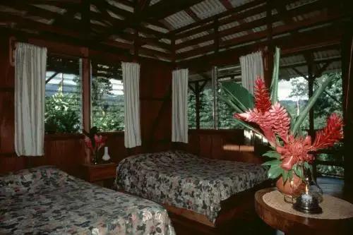 Selva Bananito Lodge - главное фото