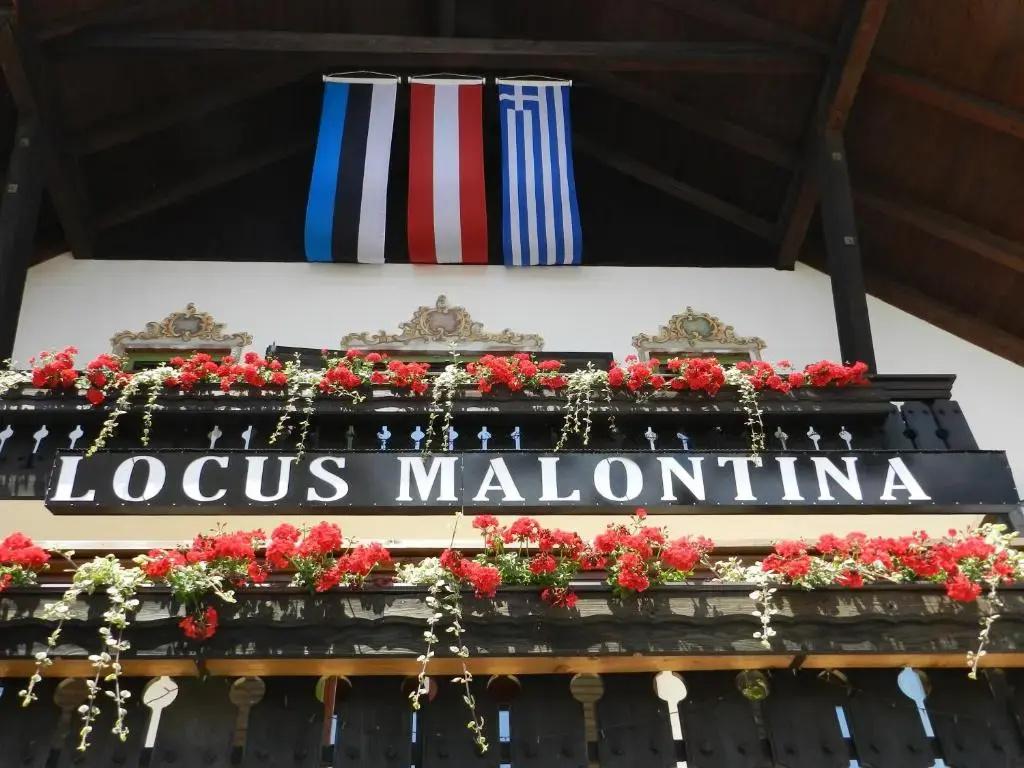 Locus Malontina Hotel - главное фото