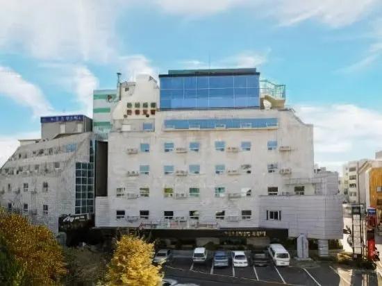 Hiddink Tourist Hotel - главное фото