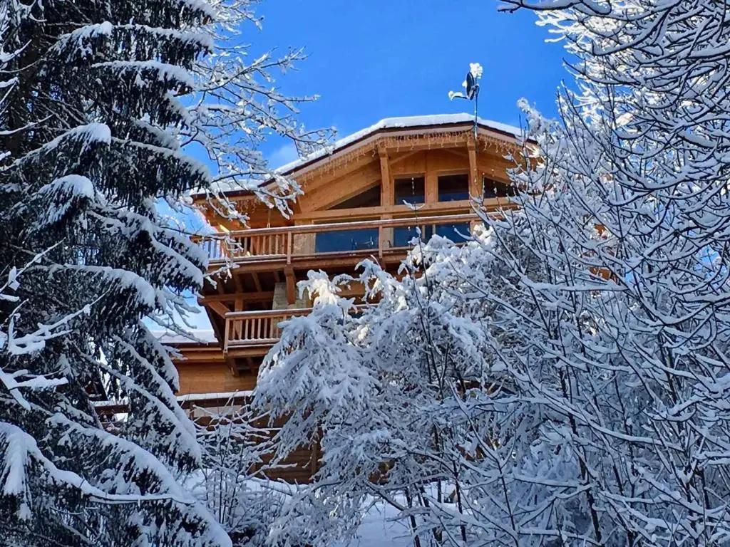 Chalet Morzine, 7 pièces, 10 personnes - FR-1-627-20 - главное фото
