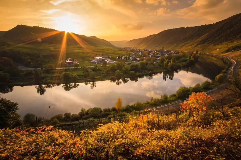 Ferienweingut Gansen Hochgenuss 2 - главное фото