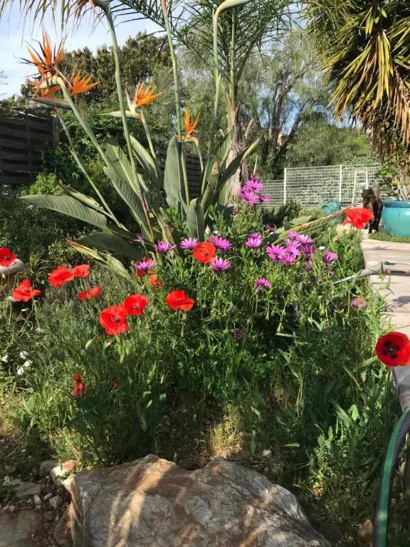 La Passiflore - главное фото