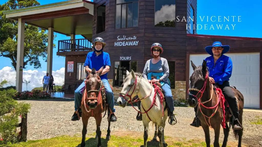 San Vicente Hideaway - главное фото