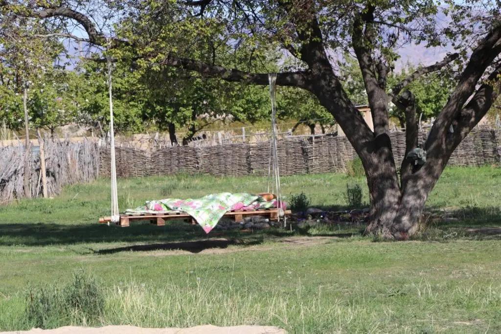 Jurten Camp Almaluu - главное фото