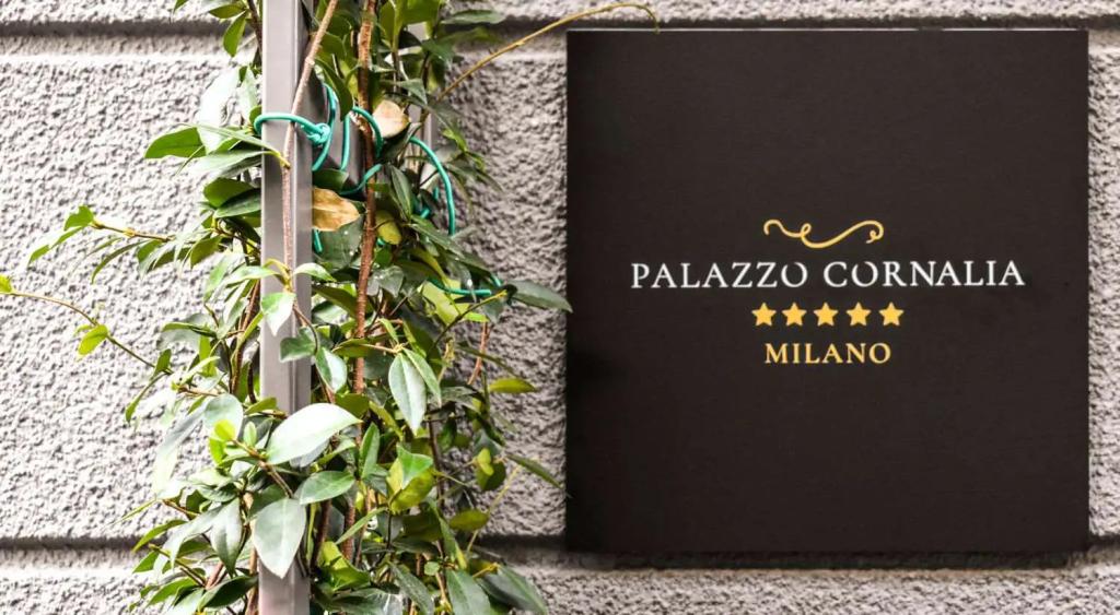 Palazzo Cornalia - главное фото