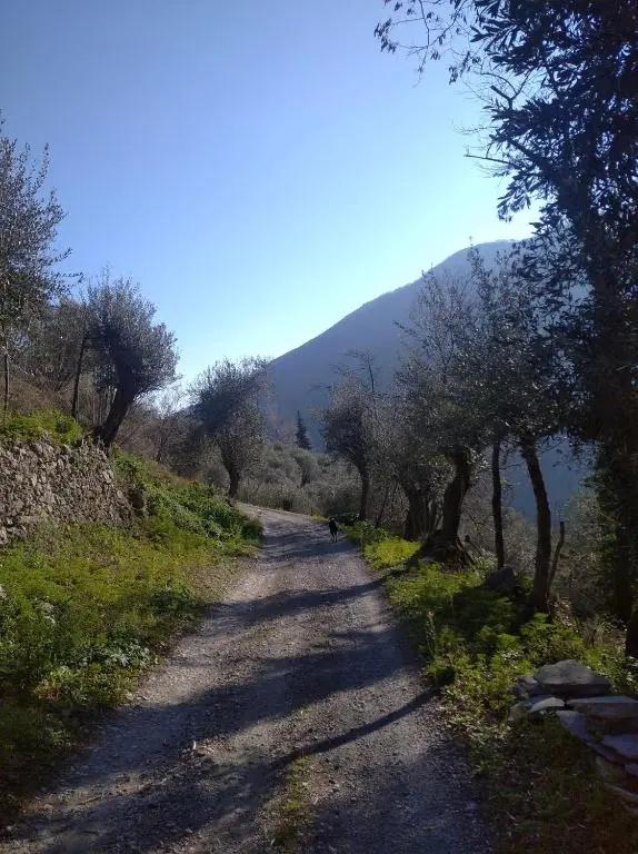 Agriturismo LE CASE ROTTE - главное фото