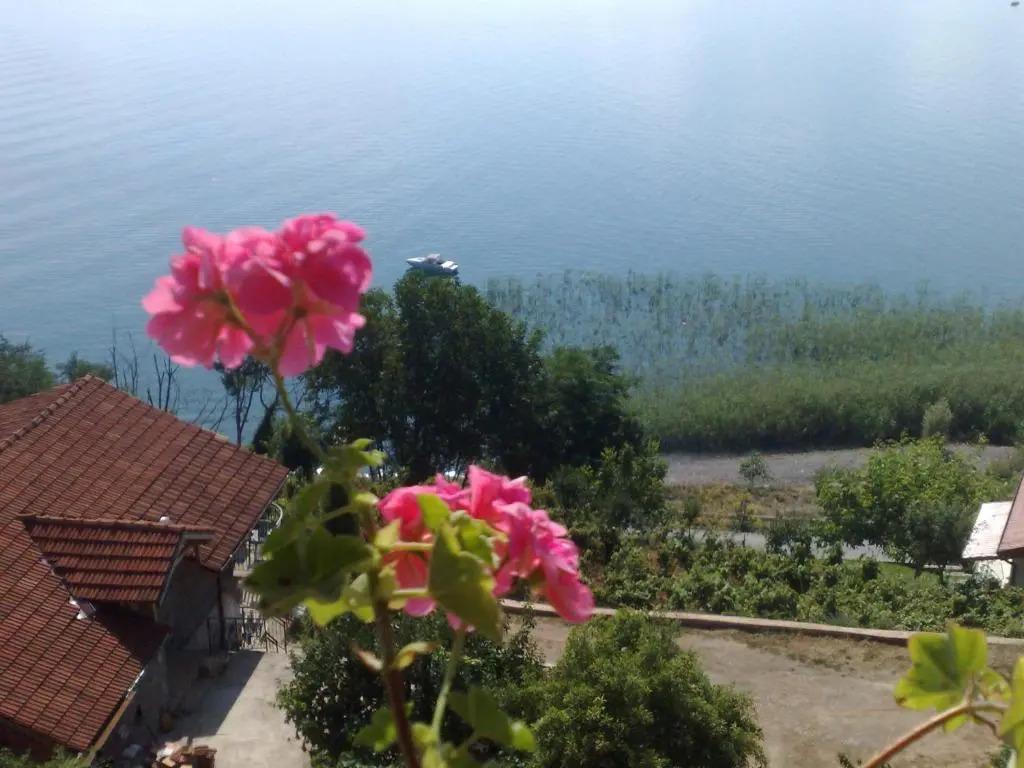 Sonce Guest House - главное фото