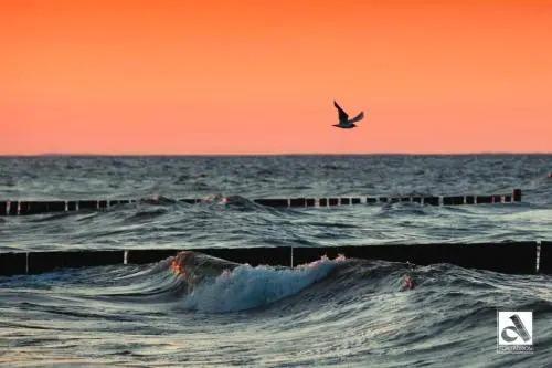 Haus Grete Wohnung 14 - главное фото