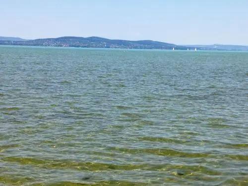 Boglárka Vendégház - главное фото