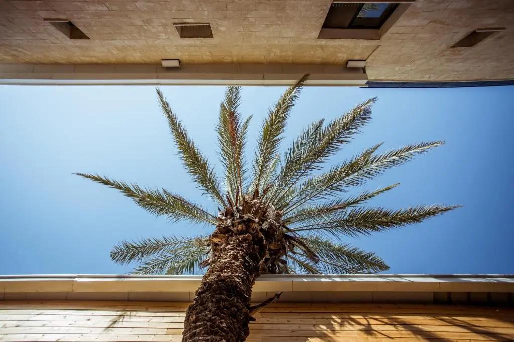 The Negev Hotel - главное фото