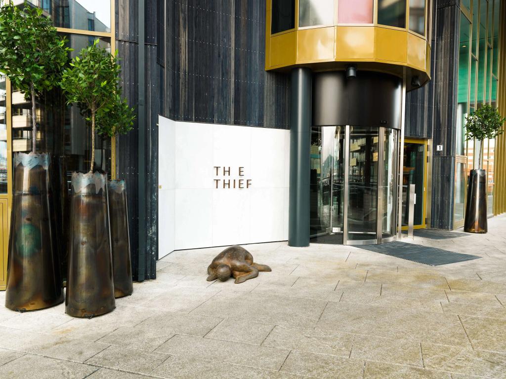 The Thief - главное фото