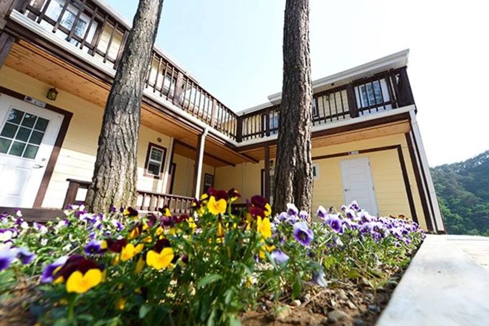 Jeongseon Sky Pension - главное фото