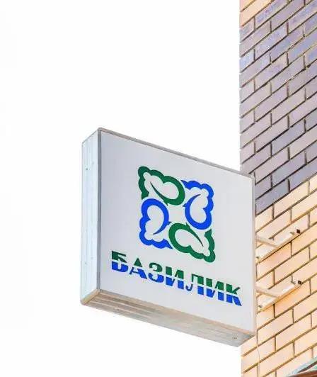 Отель Базилик Скопин - главное фото