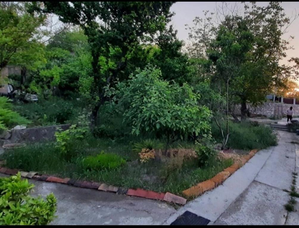 Гостевой дом Юкка Дом-музей Е. Нагаевской - главное фото