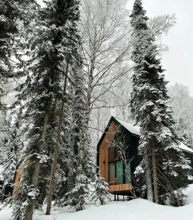 Отель Тайгара Сектор Е - главное фото