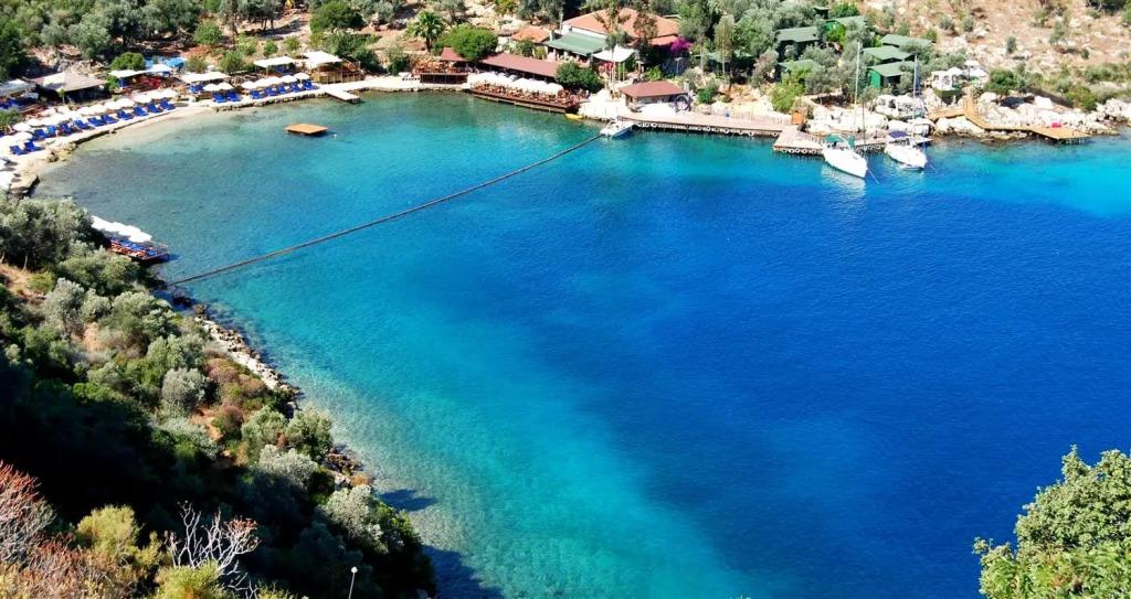 Бунгало Nuri's Beach - главное фото