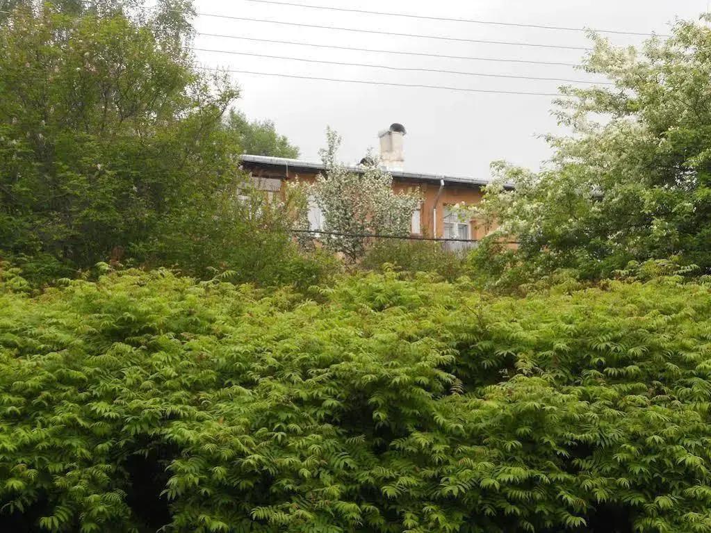 Квартира Байкальский Покой - главное фото