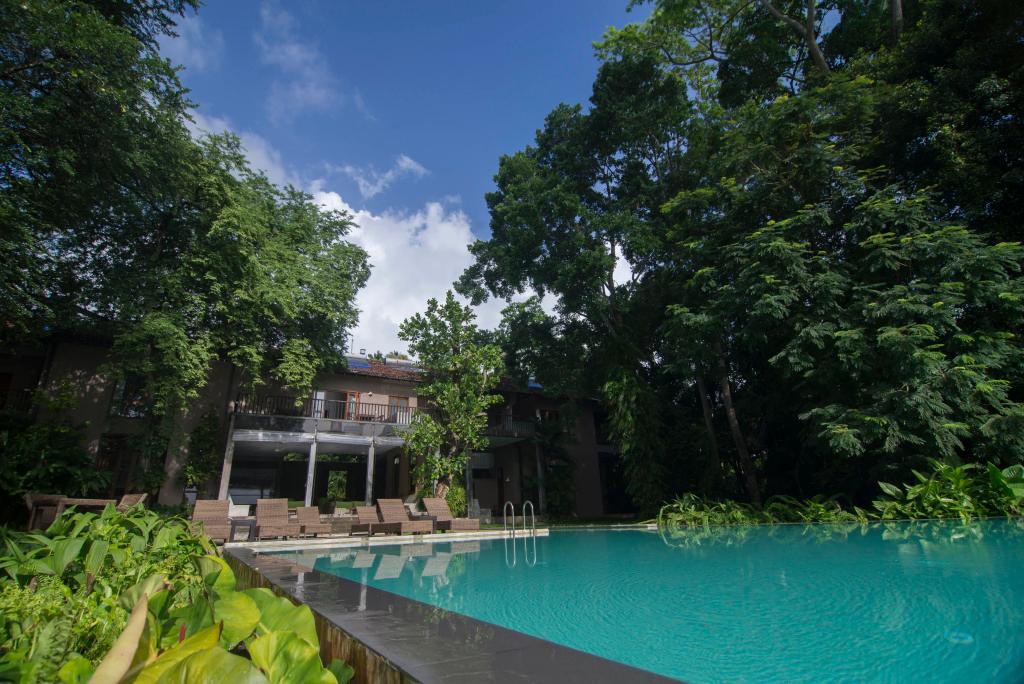 Отель Roman Lake Ayurveda Resort - главное фото