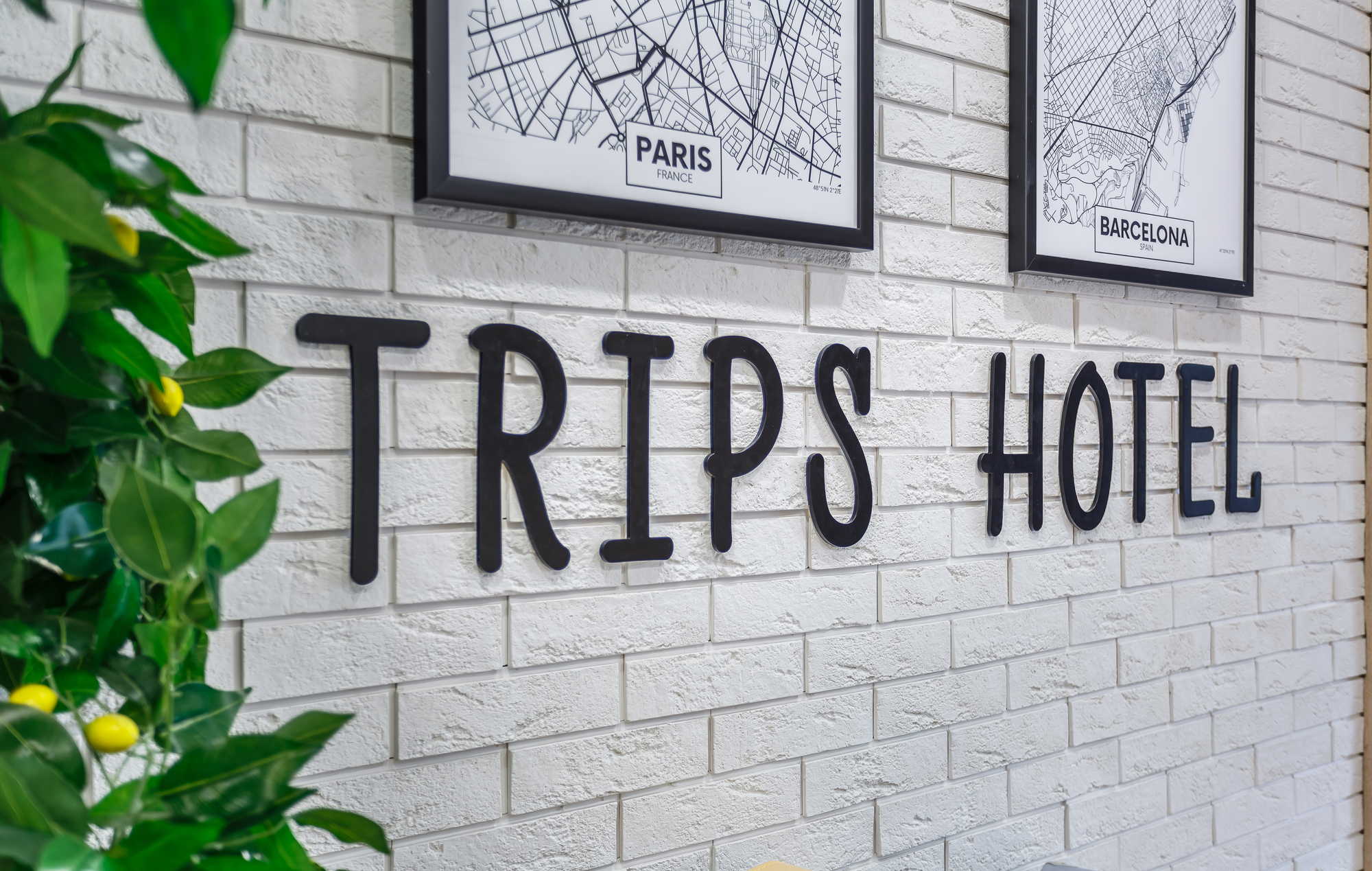 Гостиница Трипс в Москве